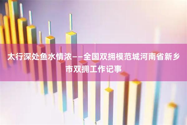 太行深处鱼水情浓——全国双拥模范城河南省新乡市双拥工作记事