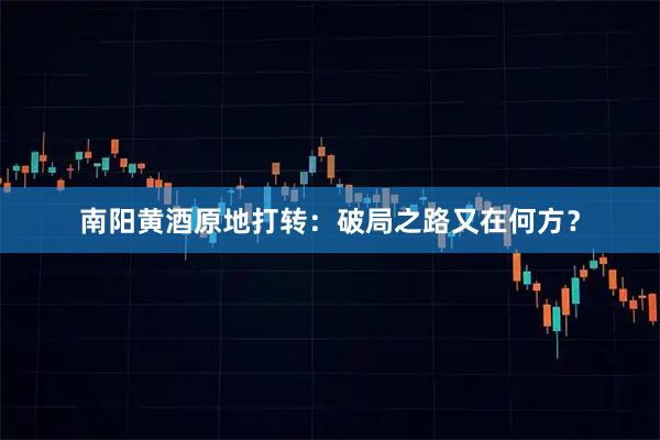 南阳黄酒原地打转：破局之路又在何方？