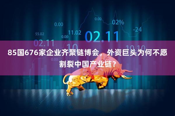 85国676家企业齐聚链博会，外资巨头为何不愿割裂中国产业链？