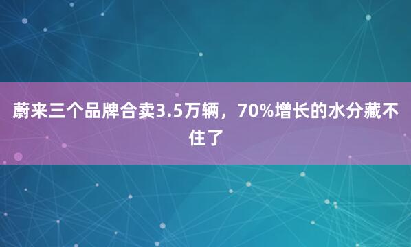 蔚来三个品牌合卖3.5万辆，70%增长的水分藏不住了